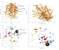 example brain graph visualisation
